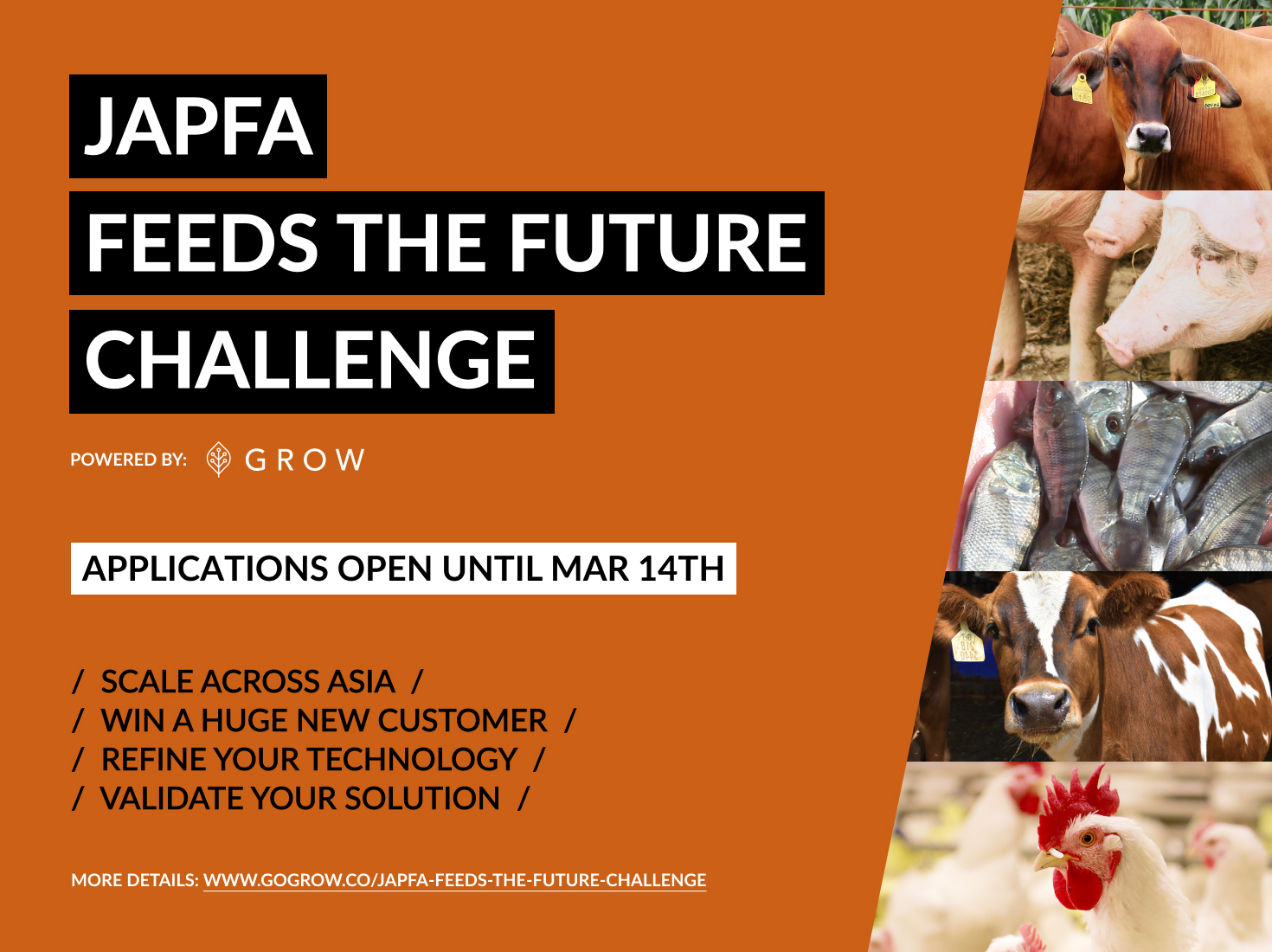 JAPFA Feeds the Future Challenge