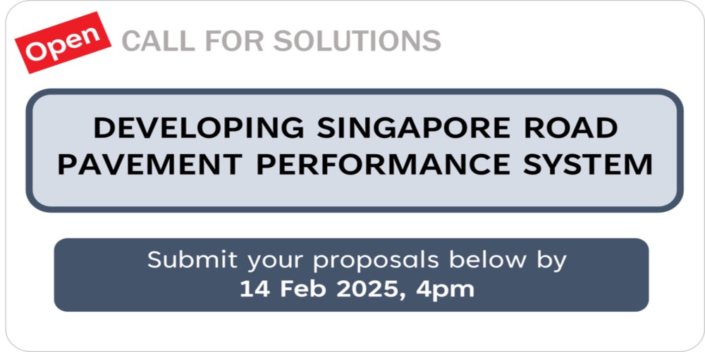 Developing Singapore Road Pavement Performance System (PPS)